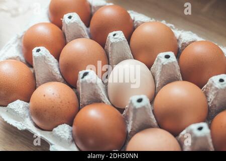 Metaphor for being different or outsider: Brown eggs and one white egg in a basket Stock Photo