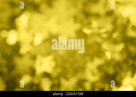 Abstract blurred bright yellow beautiful glitter background. Trendy color of the year. Bright and colorful background. Color 2021. Illuminating. Stock Photo