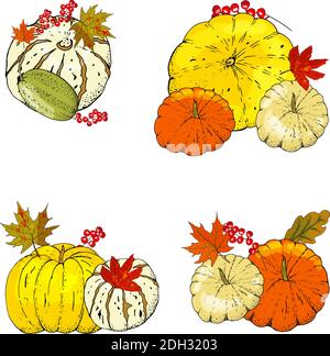 Set of autumn elements isolated on white background. Pumpkins, leaves Stock Vector