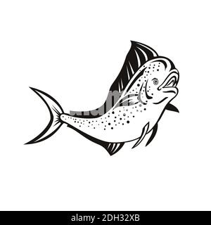 Mahi-mahi or Common Dolphinfish Jump Up Retro Black and White Stock Photo