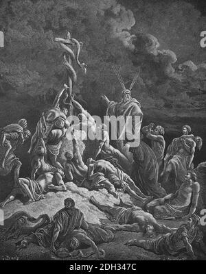 God send fiery serpents among the people. Numbers. Chapter 21. Engraving by Gustave Dore (1832-1883). Stock Photo