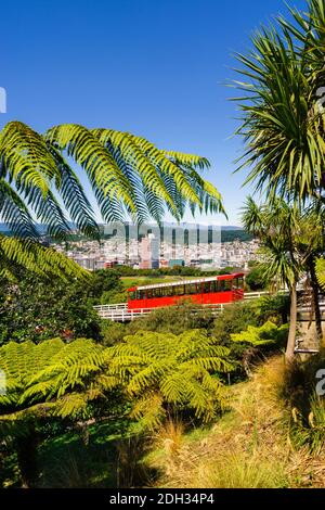 WELLINGTON, NEW ZEALAND - Feb 25, 2020: Wellington's iconic Cable Car viewed from the the Kelburn vantage point. The cable car (funicular railway) is Stock Photo