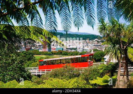 WELLINGTON, NEW ZEALAND - Feb 25, 2020: Wellington's iconic Cable Car viewed from the the Kelburn vantage point. The cable car (funicular railway) is Stock Photo