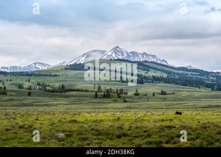 A beautiful overlooking view of nature in Yellowstone National Park, Wyoming Stock Photo