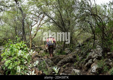 Rear view of a female hiker in the forest in rural Kenya Stock Photo
