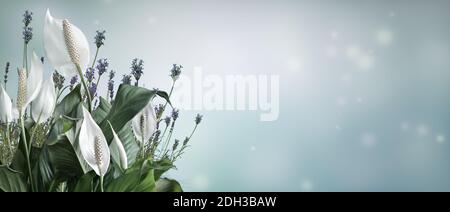 Festive spring background with Spathiphyllum flowers on a light background in pastel colors. Stock Photo