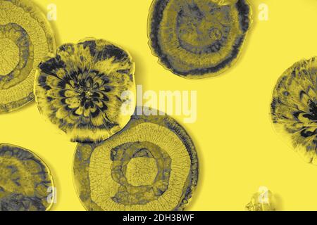 Abstract background with picturesque circles. Abstract hand painted yellow and grey with gold background, of acrylic painting. Wallpaper, texture. Stock Photo