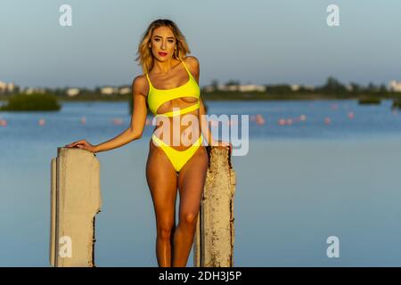 Bikini Model Poses On Beach Stock Photo 259492949 | Shutterstock