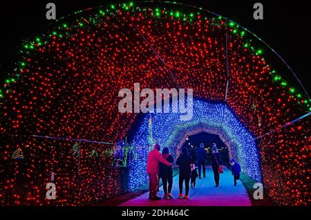 People walk through a LED Christmas lights tunnel during a holiday celebration in Jones Park, Dec. 5, 2020, in Gulfport, Mississippi. Stock Photo