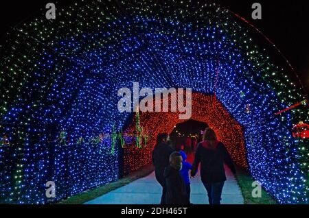 People walk through a LED Christmas lights tunnel during a holiday celebration in Jones Park, Dec. 5, 2020, in Gulfport, Mississippi. Stock Photo