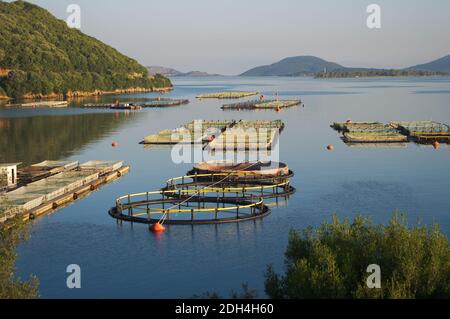 fisheries in the sea of Igoumenitsa, Greece Stock Photo