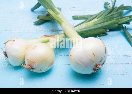 freshly picked natural onions on a wooden table Stock Photo