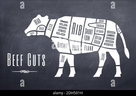 Illustration explaining schematically the different parts and cuts of beef meat Stock Photo