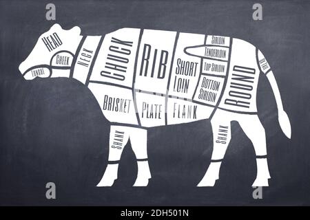 Illustration explaining schematically the different parts and cuts of beef meat Stock Photo