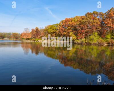 Stunning Fall Scene of Autumn Colored Trees Lining Lake Shore with Boat House to the Side, Bright Blue Sky with Streaking Clouds All Reflected in Calm Stock Photo