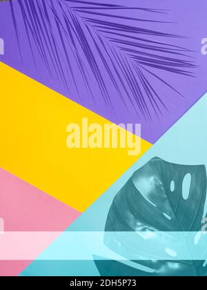Colored paper background with tropical leaf Stock Photo
