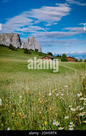 Seiser Alm Alpe di Siusi in the Dolomites, Italy, unveils stunning ...