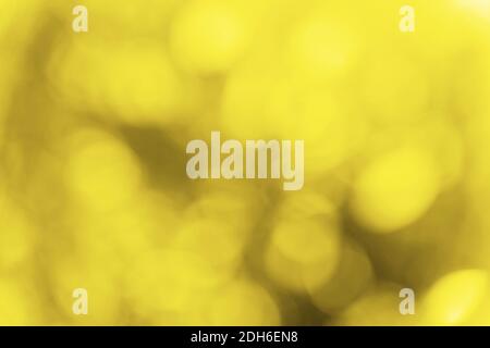 Defocused trendy yellow bokeh background on bright sunny day. Beautiful background for wallpaper design. Color 2021 concept. Stock Photo