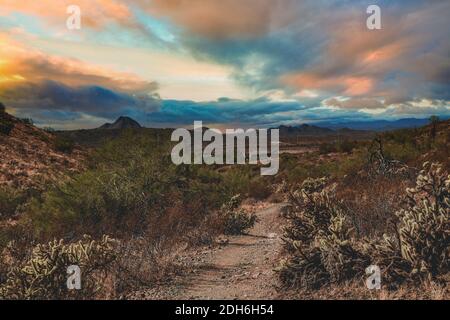 Desert Homes In An Arizona Sunset Stock Photo