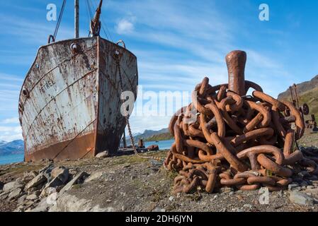 Shipwreck and rusty chain on the beach, Grytviken (abandoned whaling station), South Georgia, Antarctica Stock Photo