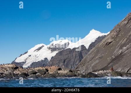 Penguins and bust of Captain Luis Pardo Villalon on the beach, Point Wild, Elephant Island, Antarctica Stock Photo