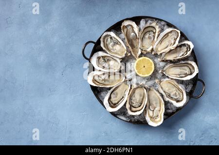 A dozen of oysters on ice, with a lemon, shot from above Stock Photo