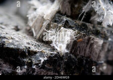 asbestos chrysotile fibers that cause lung disease, COPD, lung cancer ...