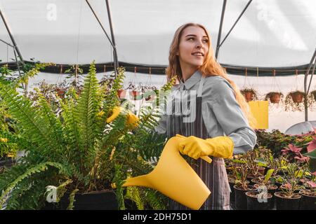 Woman in greenhouse with yellow watering can near fern. Yellow and gray colors 2021. Stock Photo