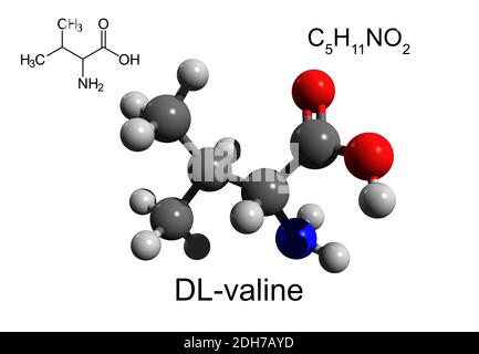 Chemical formula, structural formula and 3D ball-and-stick model of DL-valine, an essential amino acid, white background Stock Photo