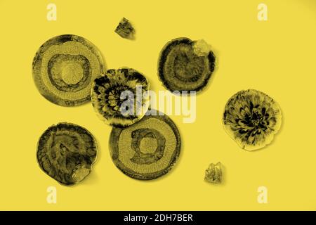 Abstract background with picturesque circles. Abstract hand painted yellow and grey with gold background, of acrylic painting. Wallpaper, texture. Stock Photo