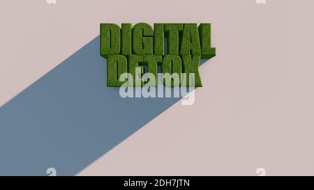 Digital Detox green lettering in white background. 3d rendering Stock Photo