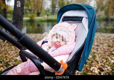 Baby in stroller on a walk in autumn park. Adorable little girl in warm clothes sitting in blue pushchair. Child with nipple in buggy Stock Photo