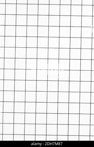 White grid paper texture, back to school background Stock Photo