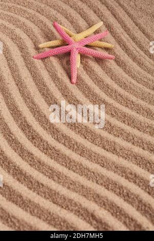 Two colored starfish on textured wavy sand. Top view. Concept of summer background with copy space. Stock Photo