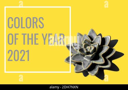 Gray lotus flower on yellow background. Ceramic flower. Colors 2021. Stock Photo