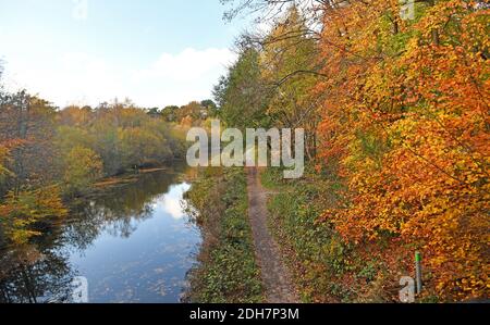 Photos for a feature on Wellesley Woodland, Aldershot - Autumn weekend walks feature. Basingstoke Canal. Stock Photo