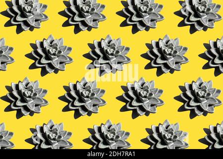 Pattern with gray Lotus flowers on yellow background,sharp strong shadows. Succulent plant. Colors 2021. Stock Photo