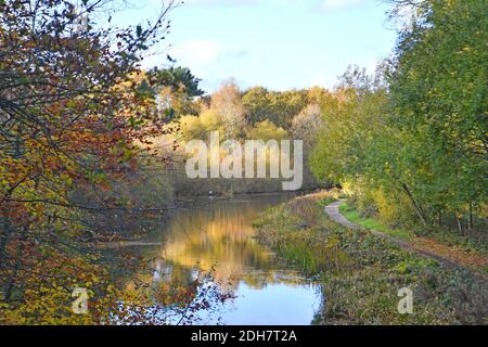 Photos for a feature on Wellesley Woodland, Aldershot - Autumn weekend walks feature. Basingstoke Canal. Stock Photo