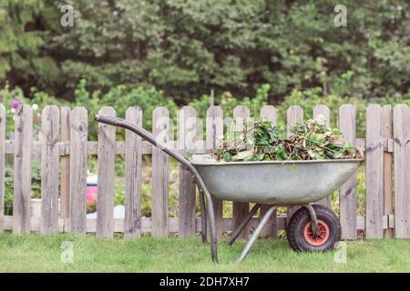 Wheelbarrow full of weeds by fence at farm Stock Photo