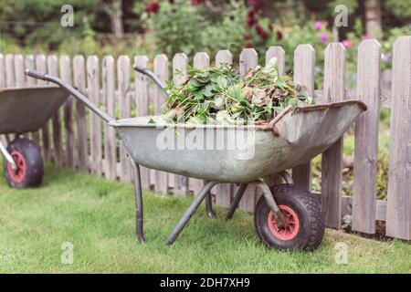 Wheelbarrow full of weeds at farm Stock Photo