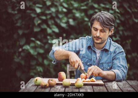 Mid adult man cutting apples at table in organic farm Stock Photo
