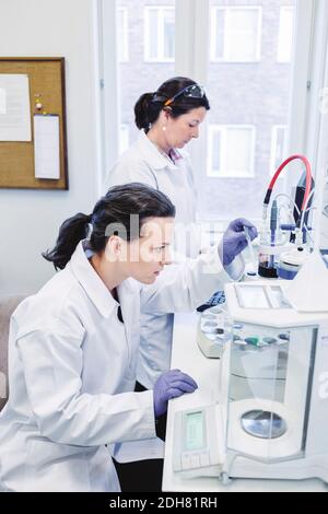 Female scientists working in laboratory Stock Photo