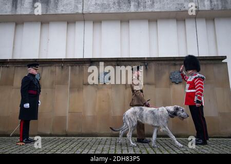 The Irish Guards' new canine regimental mascot, an Irish wolfhound called Turlough Mor, is passed from the Major-General commanding the Household Division, Major General Chris Ghika (left), to his new handler, Drummer Adam Walsh of the 1st Battalion Irish Guards (right), as he arrives at Wellington Barracks in London. Stock Photo