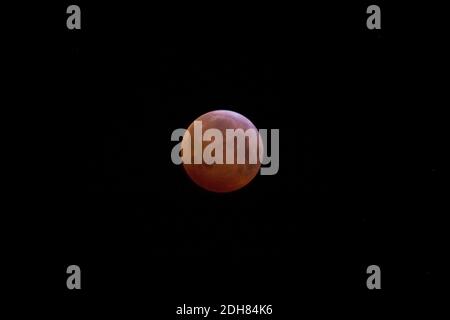 Blood Moon in total lunar eclipse, Netherlands Stock Photo