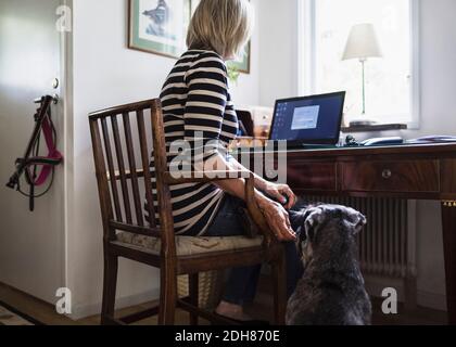 Dog sitting by senior woman using laptop at home Stock Photo