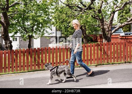 Side view of senior woman walking with dog on street Stock Photo