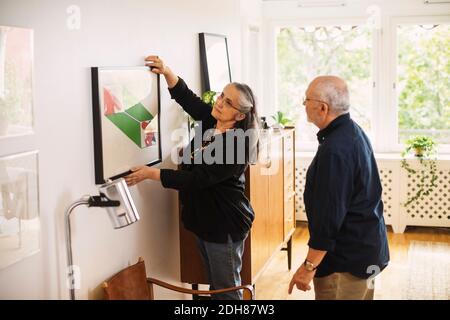 Senior man looking at woman hanging picture frame at home Stock Photo