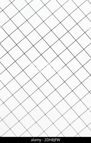 White grid paper texture, back to school background Stock Photo