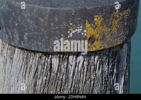 close-up of an old bollard standing in water Stock Photo