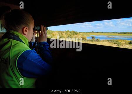 Somme Bay (northern France): bird watching outing in the bird sanctuary “Parc du Marquenterre”, in Saint-Quentin-en-Tourmont. Someone on an observatio Stock Photo